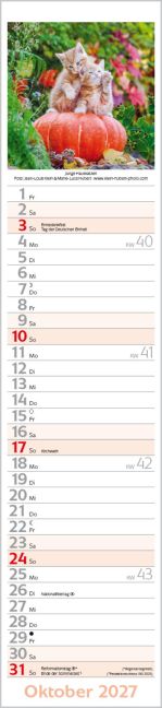 InsideView 10