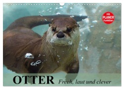 Cover-Bild zum Titel 'Otter. Frech, laut und clever (Wandkalender 2026 DIN A3 quer), CALVENDO Monatskalender' von 'Elisabeth Stanzer'