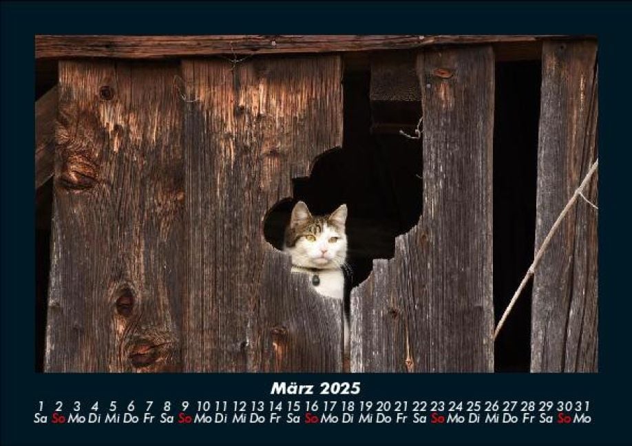 InsideView 7
