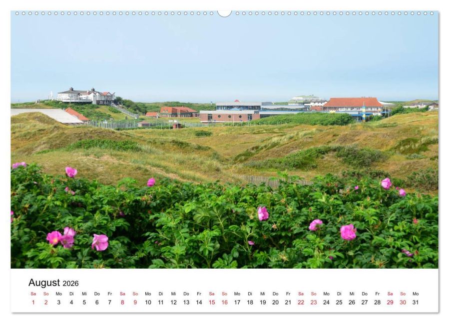 InsideView 13