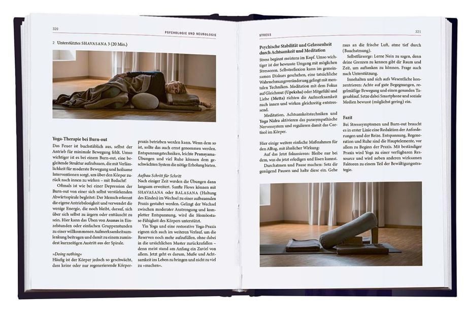 InsideView 6
