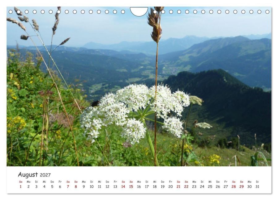 InsideView 13