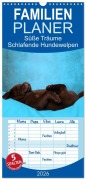 Familienplaner 2026 - Süße Träume 2026 - schlafende Hundewelpen mit 5 Spalten (Wandkalender, 21 x 45 cm) CALVENDO - Jeanette Hutfluss