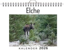 Cover-Bild zum Titel 'Elche' von 'Clara Möller'