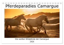 Cover-Bild zum Titel 'Pferdeparadies Camargue (Tischkalender 2026 DIN A5 quer), CALVENDO Monatskalender' von 'Nicola Kassat'