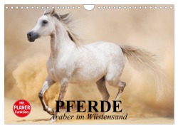 Pferde. Araber im Wüstensand (Wandkalender 2026 DIN A4 quer), CALVENDO Monatskalender - Elisabeth Stanzer