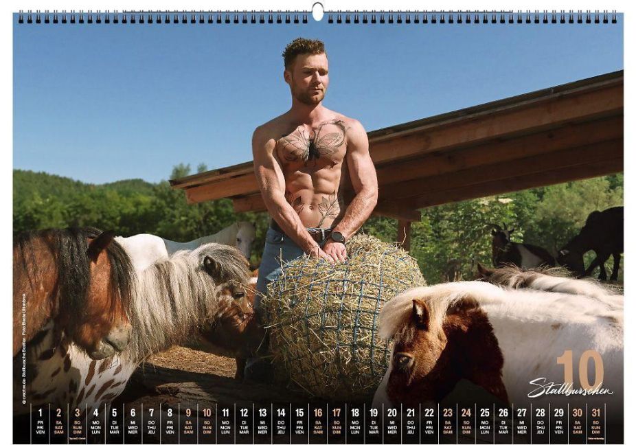 InsideView 10