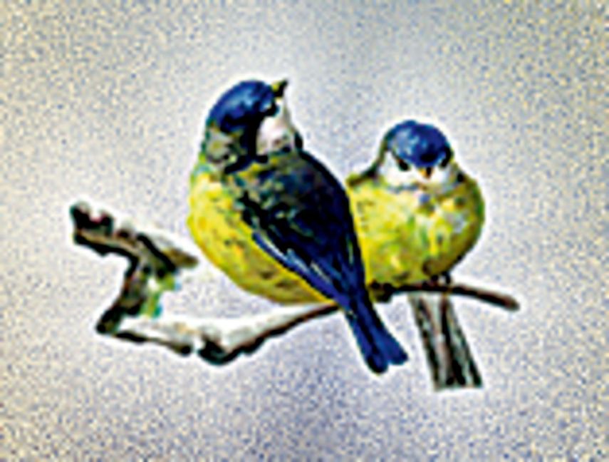 InsideView 12