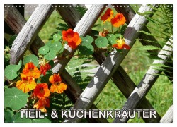 Cover-Bild zum Titel 'Heil- und Küchenkräuter (Wandkalender 2026 DIN A3 quer), CALVENDO Monatskalender' von 'Bildagentur Geduldig'