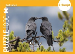 Cover-Bild zum Titel 'Kolkraben - Puzzle' von ''