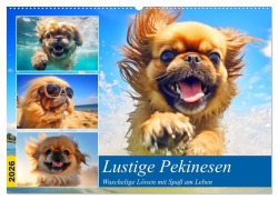 Lustige Pekinesen. Wuschelige Löwen mit Spaß am Leben (Wandkalender 2026 DIN A2 quer), CALVENDO Monatskalender - Rose Hurley