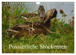 Cover-Bild zum Titel 'Possierliche Stockenten (Wandkalender 2027 DIN A4 quer), CALVENDO Monatskalender' von 'Babett Paul - Babett's Bildergalerie'
