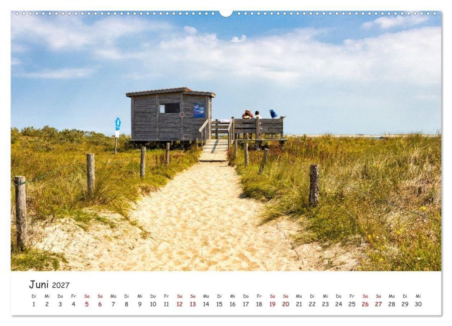 InsideView 11