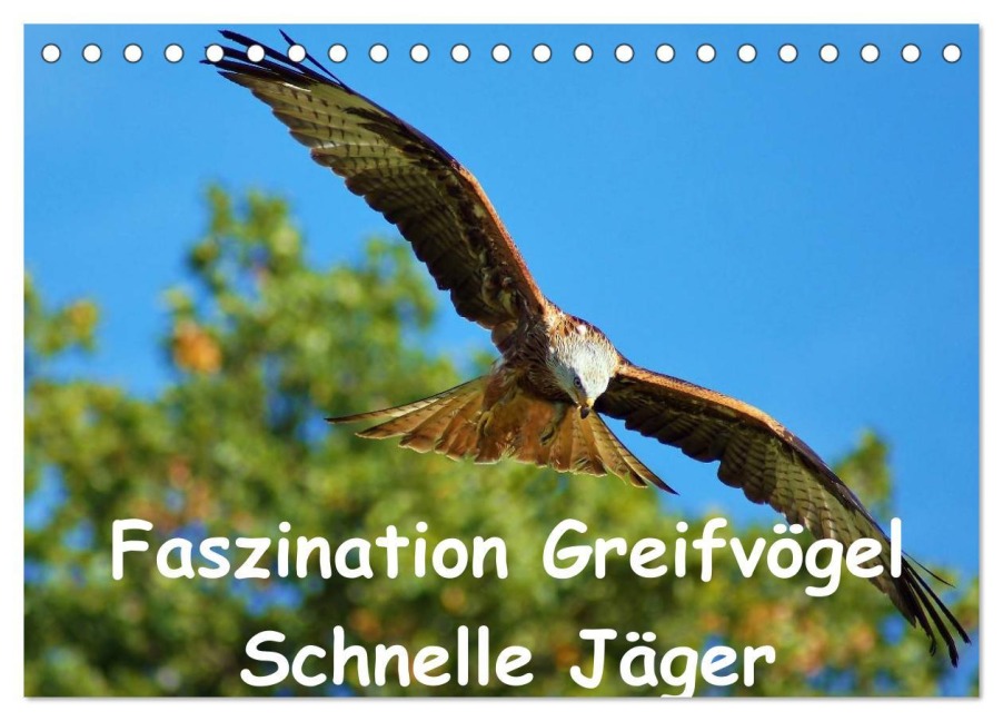 Faszination Greifvögel Schnelle Jäger (Tischkalender 2026 DIN A5 quer), CALVENDO Monatskalender - Lutz Klapp