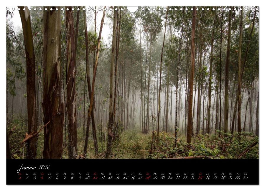 InsideView 6