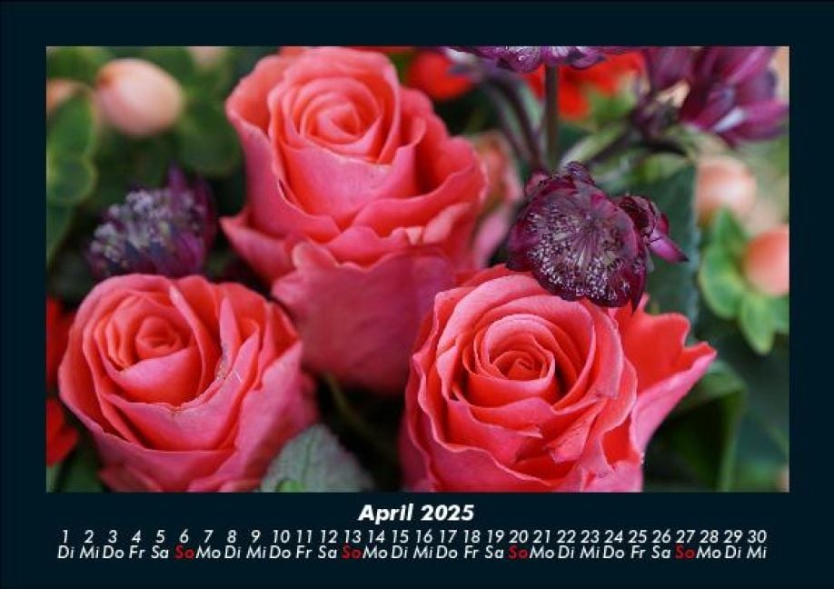 InsideView 8