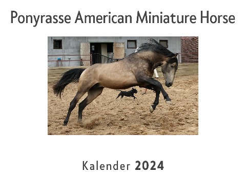 Ponyrasse American Miniature Horse (Wandkalender 2024, Kalender DIN A4 quer, Monatskalender im Querformat mit Kalendarium, Das perfekte Geschenk) - Anna Müller