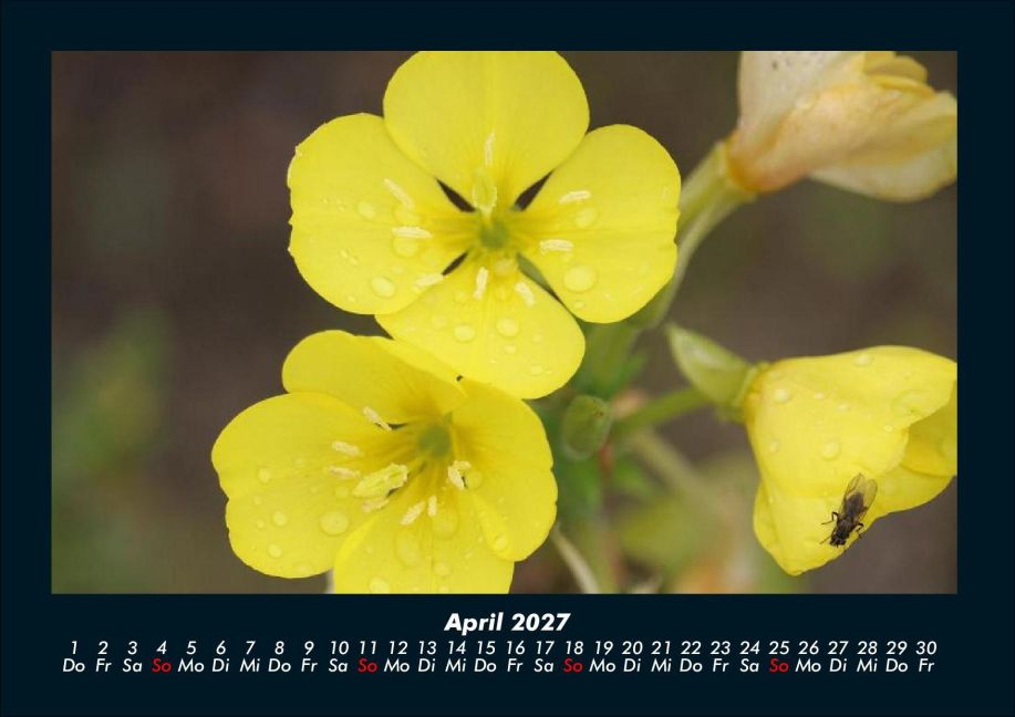 InsideView 8