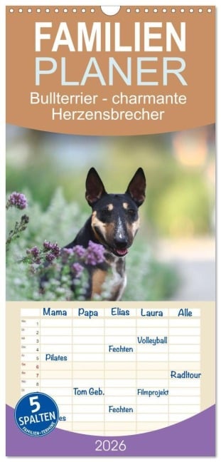 Familienplaner 2026 - Bullterrier - charmante Herzensbrecher mit 5 Spalten (Wandkalender, 21 x 45 cm) CALVENDO - Yvonne Janetzek