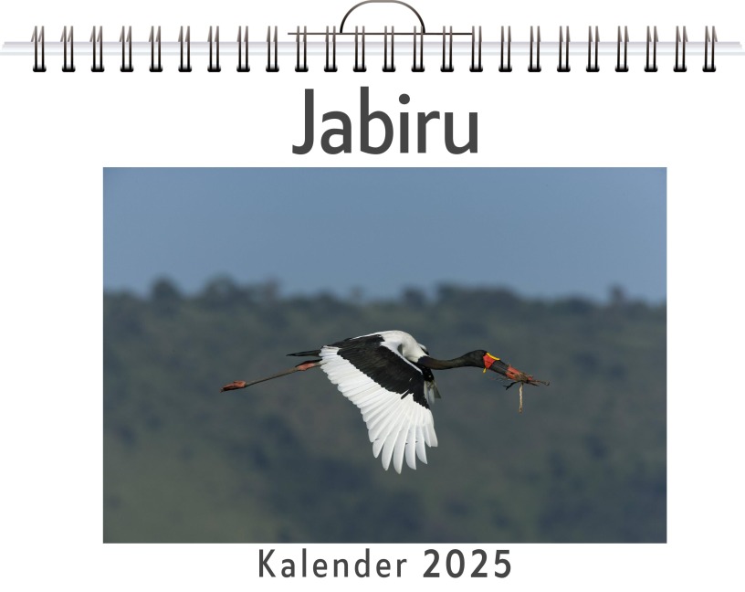 Jabiru - (Wandkalender 2025, Kalender DIN A4 quer, Monatskalender im Querformat mit Kalendarium, das perfekte Geschenk) - Charlotte Günther