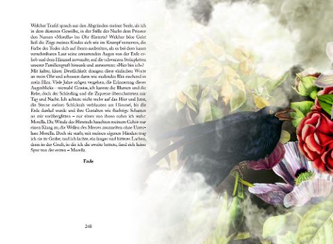 InsideView 28