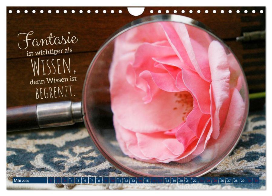 InsideView 10