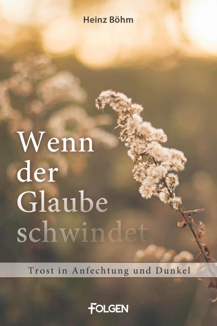Wenn der Glaube schwindet - Heinz Böhm