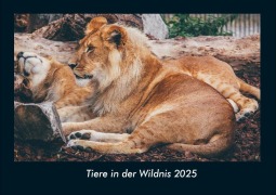 Cover-Bild zum Titel 'Tiere in der Wildnis 2025 Fotokalender DIN A4' von 'Tobias Becker'