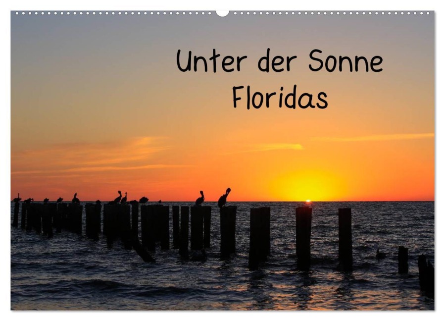 Unter der Sonne Floridas (Wandkalender 2026 DIN A2 quer), CALVENDO Monatskalender - Matthias Haberstock
