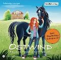 Ostwind 01&02 - Für immer Freunde & Die rettende Idee - Thilo