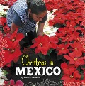 Christmas in Mexico - Cheryl L. Enderlein