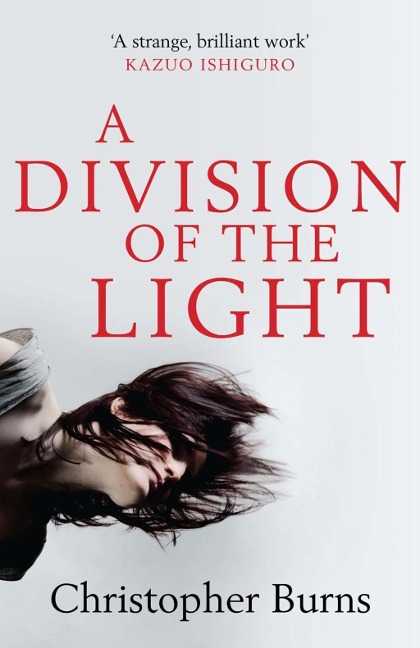 A Division of the Light - Christopher Burns
