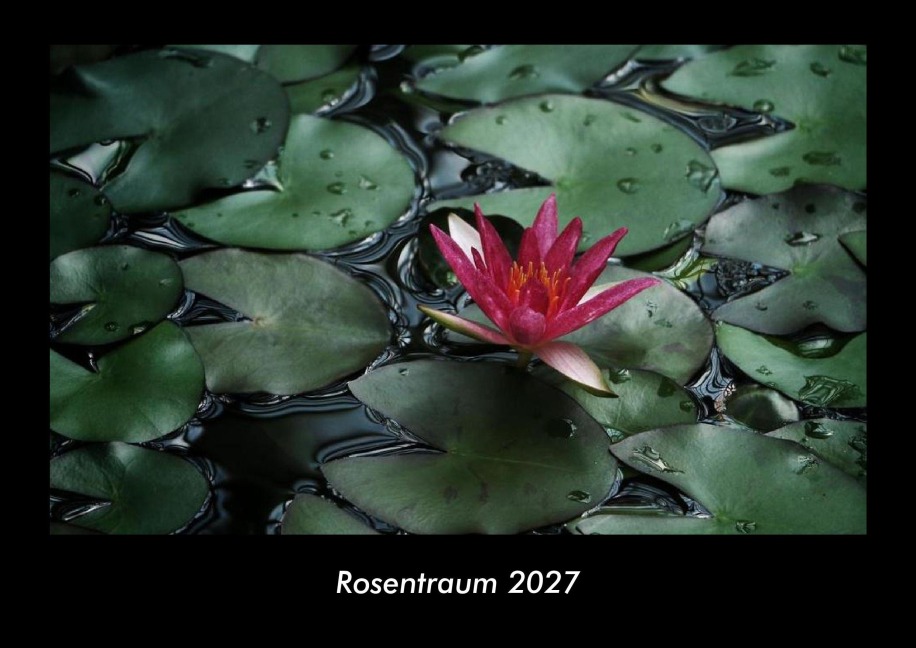 Rosentraum 2027 Fotokalender DIN A3 - Tobias Becker