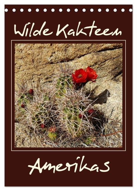 Wilde Kakteen Amerikas (Tischkalender 2027 DIN A5 hoch), CALVENDO Monatskalender - Jana Thiem-Eberitsch