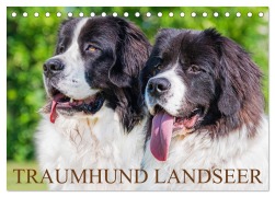 Traumhund Landseer (Tischkalender 2026 DIN A5 quer), CALVENDO Monatskalender - Sigrid Starick