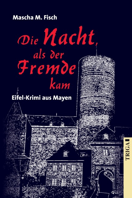Die Nacht, als der Fremde kam - Mascha Fisch