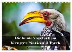 Cover-Bild zum Titel 'Die bunte Vogelwelt im Kruger National Park (Wandkalender 2026 DIN A3 quer), CALVENDO Monatskalender' von 'Stephan Henting'