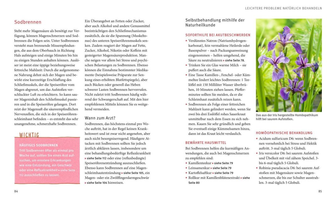 InsideView 5