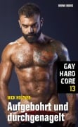 Cover-Bild zum Titel 'Gay Hardcore 13: Aufgebohrt und durchgenagelt' von 'Nick Holzner'
