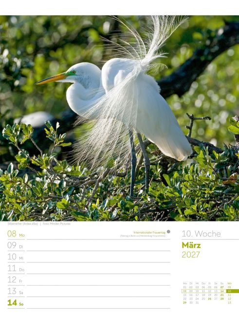 InsideView 14