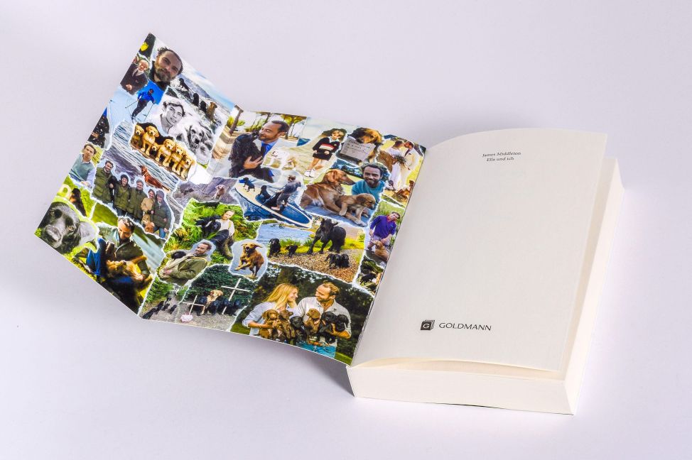 InsideView 5