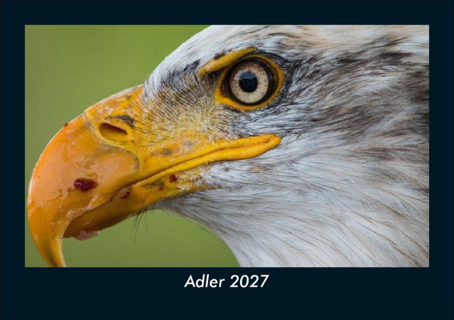 Adler 2027 Fotokalender DIN A5 - Tobias Schmitt, Kevin Heber