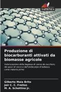 Cover-Bild zum Titel 'Produzione di biocarburanti attivati da biomasse agricole' von 'Gilberto Maia Brito, Jair C. C. Freitas, M. A. Schettino Jr.'
