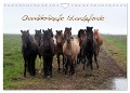 Charakterköpfe Islandpferde (Wandkalender 2024 DIN A4 quer), CALVENDO Monatskalender - Elisabeth Stephan