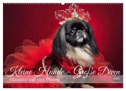 Cover-Bild zum Titel 'Kleine Hunde - Große Diven (Wandkalender 2026 DIN A2 quer), CALVENDO Monatskalender' von 'Fotodesign Verena Scholze'
