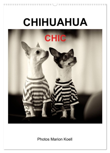 CHIHUAHUA CHIC Photos Marion Koell (Wandkalender 2026 DIN A2 hoch), CALVENDO Monatskalender - Marion Koell