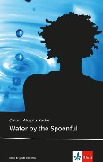 Cover-Bild zum Titel 'Water by the Spoonful' von 'Quiara Alegría Hudes'