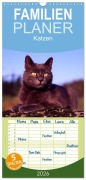 Cover-Bild zum Titel 'Familienplaner 2026 - Katzen mit 5 Spalten (Wandkalender, 21 x 45 cm) CALVENDO' von 'Mcphoto Werner Layer'