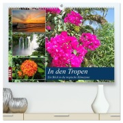 Cover-Bild zum Titel 'In den Tropen - Ein Blick in die tropische Klimazone (hochwertiger Premium Wandkalender 2026 DIN A2 quer), Kunstdruck in Hochglanz' von 'Martin Gillner'