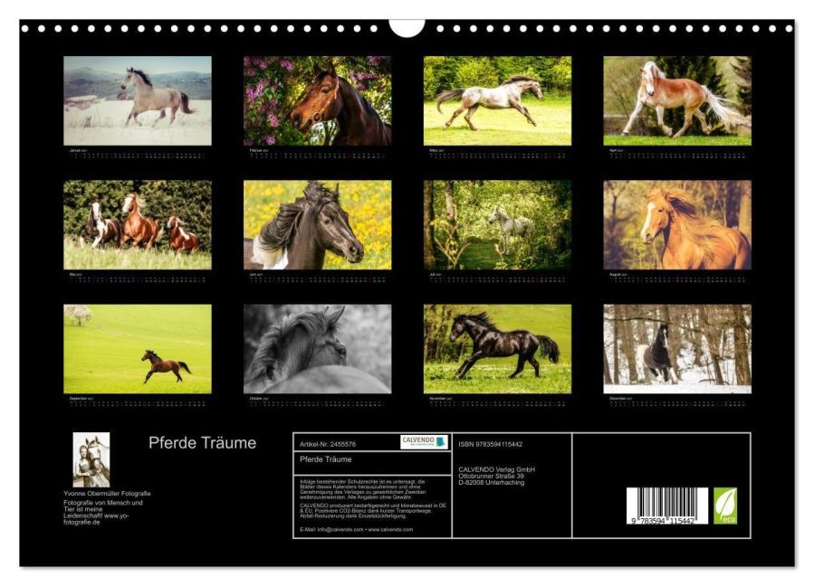 InsideView 5